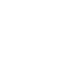 d2_DPS_Icons_S20.png