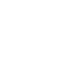 S21_Icon.png