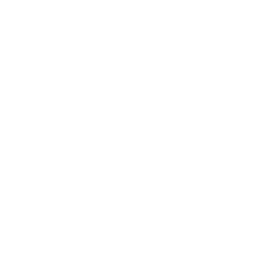 Destiny Activity Icon