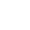 DPS_Icon_S24-Echoes_96x96.png