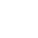 Icon2a.png